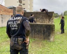 Paraná tem menor número de homicídios no 1º semestre em 18 anos; roubos caem 24%