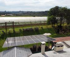 Série de reportagens da AEN vai mostrar a transformação no campo com a energia renovável