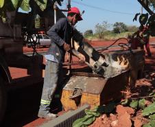 Paraná tem 18,8 mil vagas de emprego disponíveis nas Agências do Trabalhador