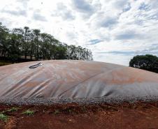 Com três anos do RenovaPR, Paraná vira protagonista da produção de energia no campo