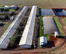 Série de reportagens da AEN vai mostrar a transformação no campo com a energia renovável