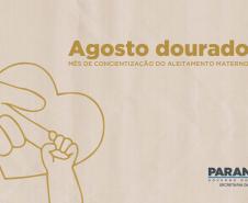 Rede de aleitamento materno e hospitais certificados ajudam milhares de bebês todos os anos - A Secretaria de Estado da Saúde (Sesa) possui a Rede Estadual de Bancos de Leite Humano, que atualmente conta com 15 bancos de leite humano (BLH) e 15 postos de coleta (PCLH) em todo Estado