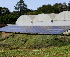 Série de reportagens da AEN vai mostrar a transformação no campo com a energia renovável