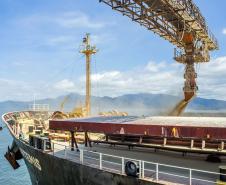 Exportações de soja, açúcar, combustíveis e frango batem recorde no Paraná em 2024