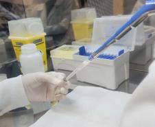 Paraná integra rede de pesquisa para identificar maior risco de desenvolver doenças