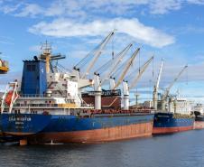 Exportações de soja, açúcar, combustíveis e frango batem recorde no Paraná em 2024