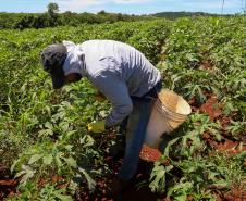 Governador sanciona reajuste de programas rurais de combate à vulnerabilidade
