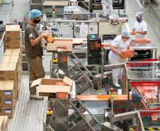 Paraná foi segundo estado que mais gerou empregos no Brasil em julho, aponta Caged