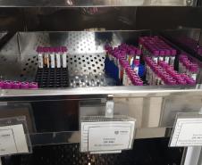 Solidariedade: Paraná tem o 3º maior cadastro de doadores de medula óssea do Brasil