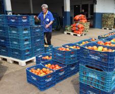 Programa Comida Boa - O Dia Internacional de Conscientização sobre Perdas e Desperdício de Alimentos é comemorado no dia 29 de setembro.