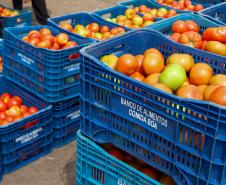 Programa Comida Boa - O Dia Internacional de Conscientização sobre Perdas e Desperdício de Alimentos é comemorado no dia 29 de setembro.