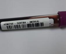 Solidariedade: Paraná tem o 3º maior cadastro de doadores de medula óssea do Brasil