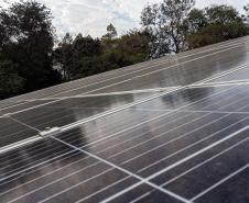 Foto: Roberto Dziura Jr/AEN