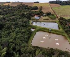 Foto: Roberto Dziura Jr/AEN