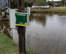 Foto: Roberto Dziura Jr/AEN