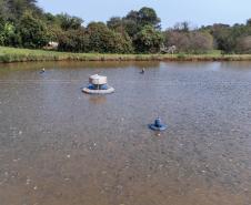 Foto: Roberto Dziura Jr/AEN