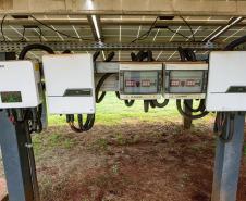 Foto: Roberto Dziura Jr/AEN