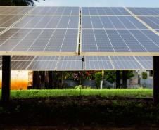 Foto: Roberto Dziura Jr/AEN