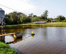 Foto: Roberto Dziura Jr/AEN