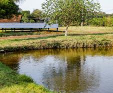 Foto: Roberto Dziura Jr/AEN