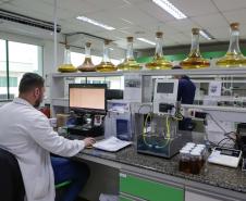 Nova unidade da Potencial na Lapa está recebendo investimento de R$ 1,7 bilhão e vai projetar o grupo para ser um dos líderes mundiais no esmagamento de soja.