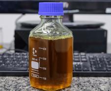 Nova unidade da Potencial na Lapa está recebendo investimento de R$ 1,7 bilhão e vai projetar o grupo para ser um dos líderes mundiais no esmagamento de soja.