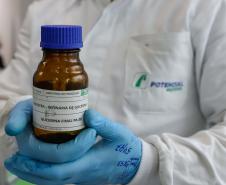 Nova unidade da Potencial na Lapa está recebendo investimento de R$ 1,7 bilhão e vai projetar o grupo para ser um dos líderes mundiais no esmagamento de soja.