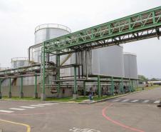 Nova unidade da Potencial na Lapa está recebendo investimento de R$ 1,7 bilhão e vai projetar o grupo para ser um dos líderes mundiais no esmagamento de soja.