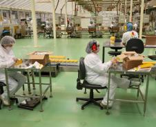Agências do Trabalhador têm 21,2 mil vagas abertas; Curitiba e Cascavel lideram as ofertas