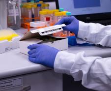 Outubro Rosa: Com apoio do Estado, startup avança no desenvolvimento de kit de diagnóstico de câncer de mama