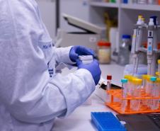 Outubro Rosa: Com apoio do Estado, startup avança no desenvolvimento de kit de diagnóstico de câncer de mama