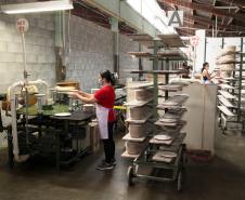 331 municípios paranaenses têm saldo positivo de geração de empregos em 2024