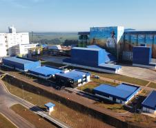 De bebidas a móveis: Paraná lidera crescimento da produção industrial em vários segmentos