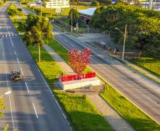 331 municípios paranaenses têm saldo positivo de geração de empregos em 2024