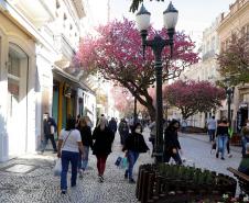 Imagens de movimentação de pessoas nas ruas do centro de curitiba. Movimento no comércio da região central de Curitiba. Vendas aquecidas pelo motivo no natal e copa do mundo.