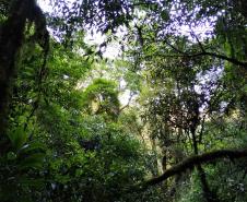 Foto: SEDEST-PR