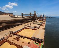 Com 5º melhor resultado de exportações em 2024, Paraná tem superávit de US$ 3,7 bilhões