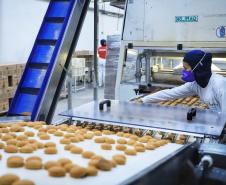 77% dos municípios paranaenses tiveram saldo positivo de empregos em 2024