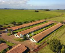 Estado disponibiliza R$ 1 bilhão do Siscred para impulsionar indústrias e agronegócio