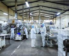 77% dos municípios paranaenses tiveram saldo positivo de empregos em 2024