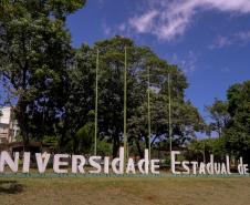 Mulheres são maioria com curso superior no Paraná e representam 58% dos graduados Foto: Arnaldo Neto/AEN