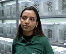 Mulheres são maioria com curso superior no Paraná e representam 58% dos graduados Foto: Arnaldo Neto/AEN