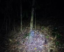 2 mil toneladas de aço, sapo raro e muito gelo na obra: as curiosidades da Ponte de Guaratuba