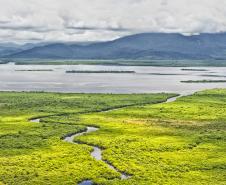 Paraná reduziu em 95% o desmatamento ilegal da Mata Atlântica entre 2021 e 2024, de acordo com dados do Instituto Água e Terra Foto: Denis Ferreira Netto/SEDEST-PR