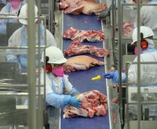 Paraná alcança maior participação na produção nacional de suínos na história