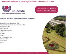 Paraná se destaca como polo de conhecimento com cinco universidades estaduais entre as melhores do Brasil Foto: SETI-PR Paraná se destaca como polo de conhecimento com cinco universidades estaduais entre as melhores do Brasil Foto: SETI-PR Paraná se destaca como polo de conhecimento com cinco universidades estaduais entre as melhores do Brasil Foto: SETI-PR