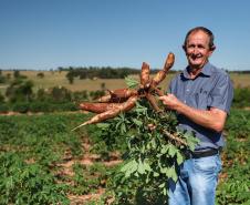 Comércio global: Paraná vendeu US$ 14,2 bilhões em alimentos e bebidas para 176 países em 2024