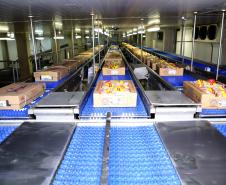 Supermercado do mundo: Paraná exporta mais alimentos que países como Japão, Portugal e Coreia do Sul