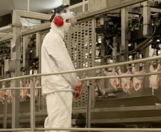 Supermercado do mundo: Paraná exporta mais alimentos que países como Japão, Portugal e Coreia do Sul
