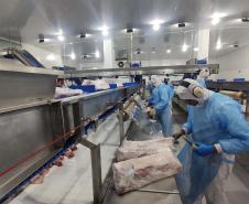 Supermercado do mundo: Paraná exporta mais alimentos que países como Japão, Portugal e Coreia do Sul